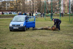 Policjant z psem podczas pokazów.