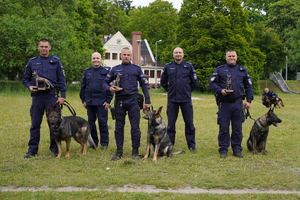 policjanci z psami pozują do zdjęcia