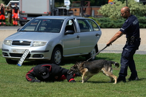 policyjny piknik na Wyspie Młyńskiej