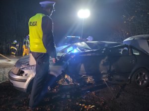 policjant wykonuje oględziny pojazdu