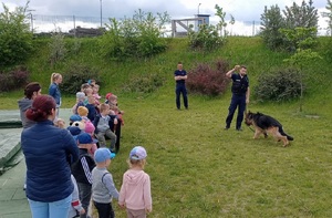 policjanci pokazują umiejętności psów służbowych