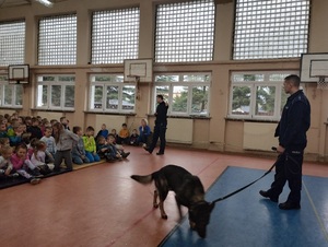policyjny pies prezentuje wytresowane sztuczki