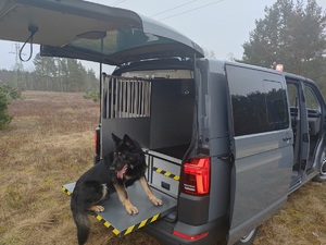 służbowy pies siedzi w policyjnym radiowozie