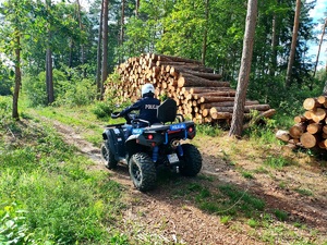 policjanci na quadzie zapobiegają dokonywaniu kradzieży drewna