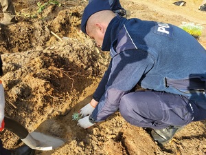 policjanci sadzą las