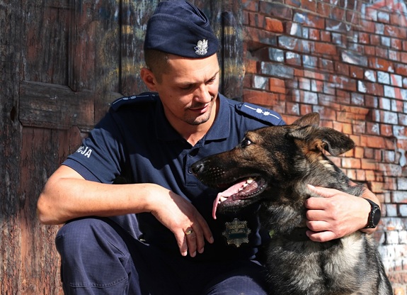 policjant patrzy na psa służbowego