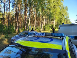 policjanci prowadzą poszukiwania  w lesie