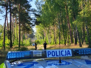 policjanci prowadzą poszukiwania  w lesie