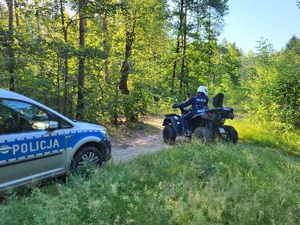 policjanci prowadzą poszukiwania  w lesie
