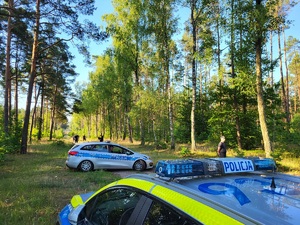 policjanci prowadzą poszukiwania  w lesie