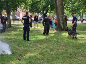 policjanci uczestniczą w pikniku