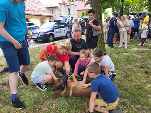 policjanci uczestniczą w pikniku