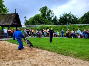 przewodnik psa policyjnego uczestniczy w pikniku