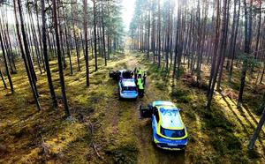 radiowozy stoją w lesie