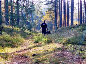 policyjny pies tropi uciekiniera