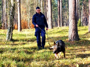 policyjny pies tropi uciekiniera