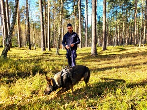 policyjny pies tropi uciekiniera