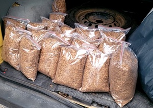 zabezpieczona krajanka