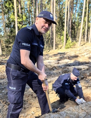 policjanci sadzą las